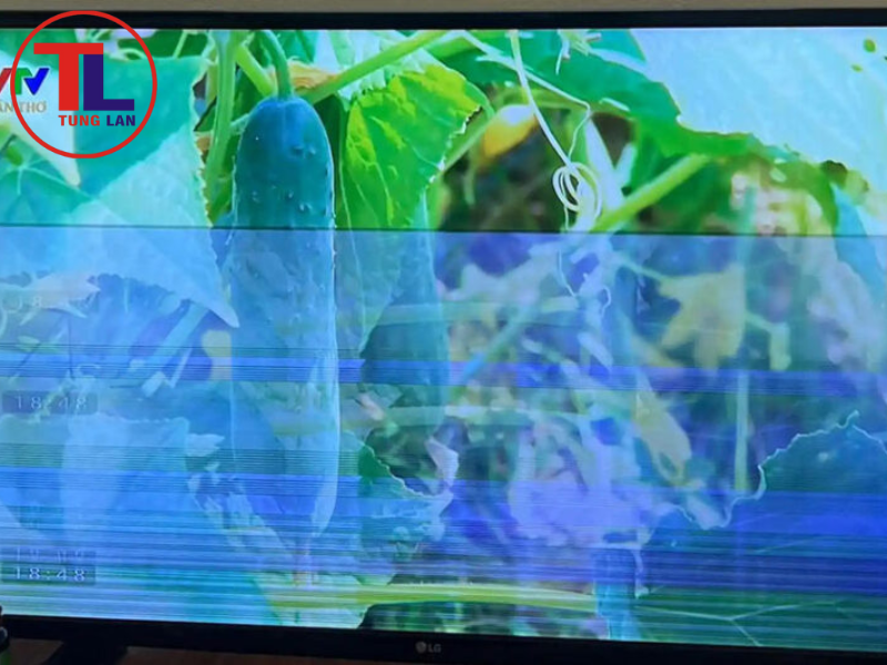 Lỗi bóng mờ trên tivi thường do nguyên nhân nào?