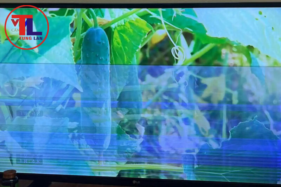 Màn Hình Tivi Bị bóng Mờ: Nguyên Nhân Và Cách Khắc Phục Đơn Giản