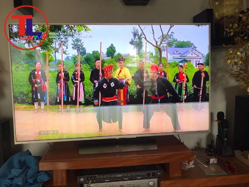 Lỗi tấm Panel màn hình (Nghiêm trọng)