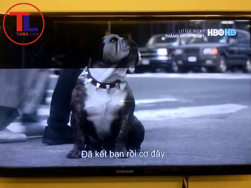 Dấu hiệu hiển thị mất màu trên màn hình tivi