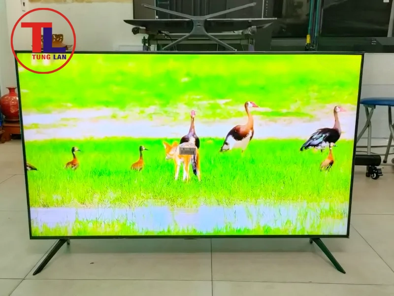 Model và đời tivi