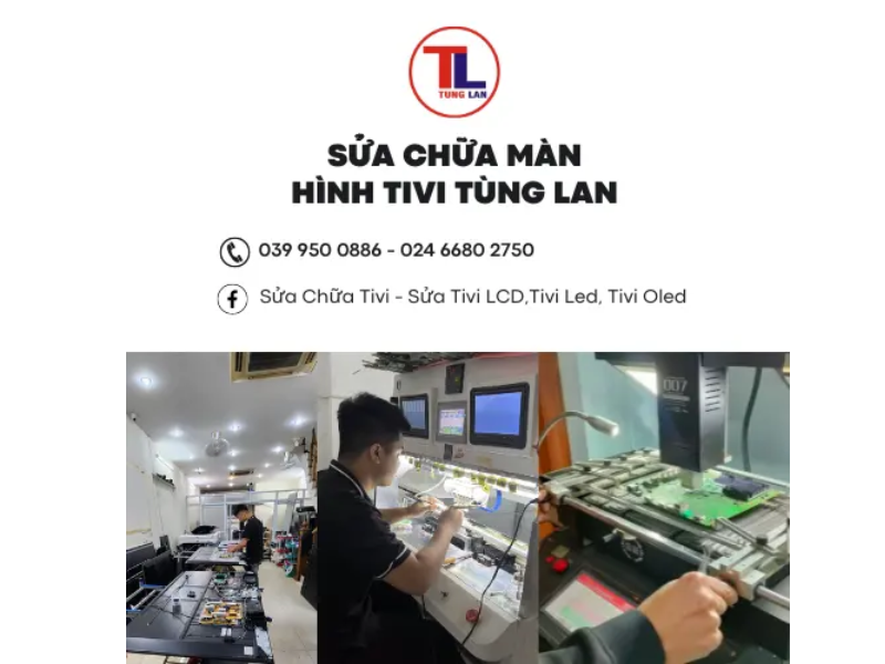 Cam kết của Điện tử Tùng Lan