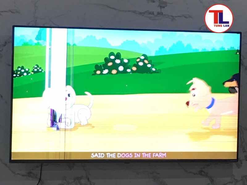 Hiện tượng "chồng hình" (Ghosting), nhòe màu