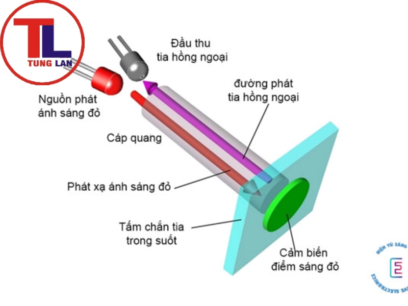 Cấu tạo của cảm ứng hồng ngoại