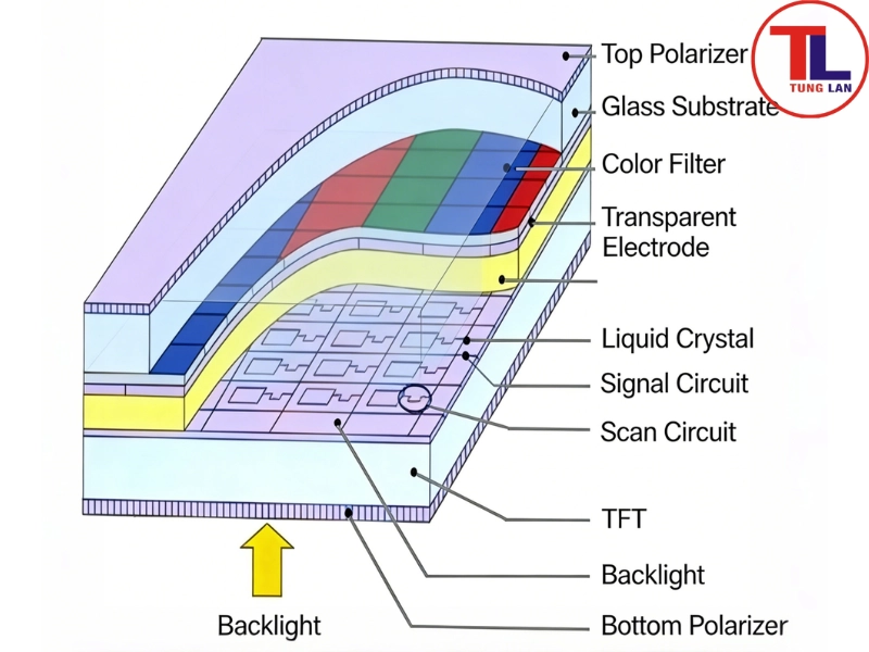 Lớp vi mạch TFT & Tinh thể lỏng