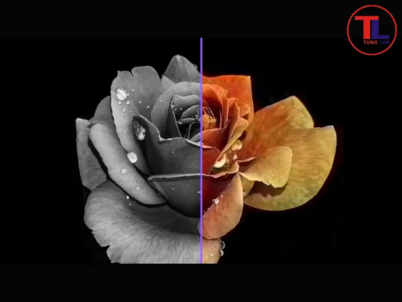 cách chỉnh hình ảnh tivi samsung đẹp nhất