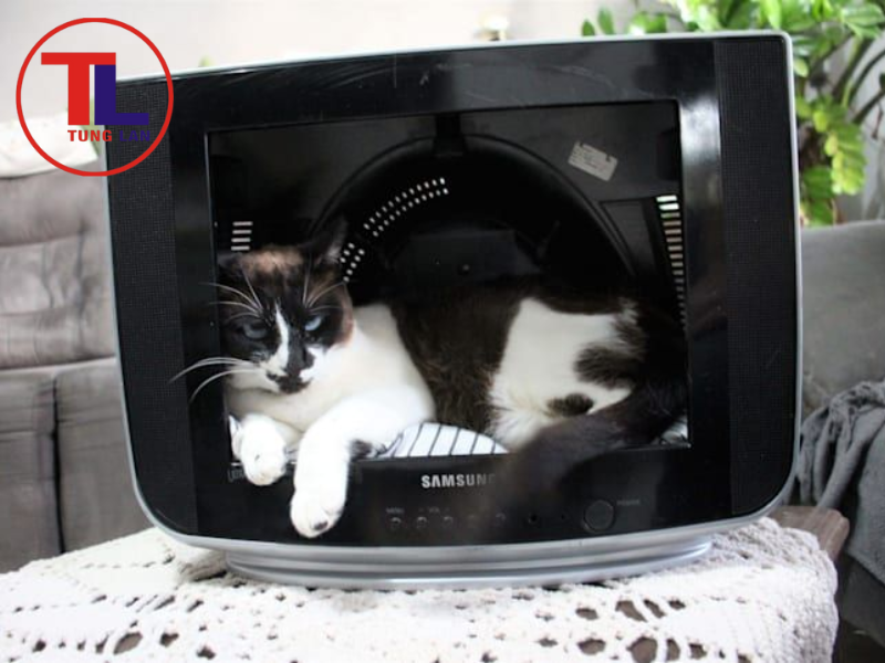 Tái chế tivi cũ thành chuồng thú cưng nhỏ